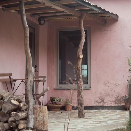 Cabana Do Dinamarques Em Arga De Baixo Eksteriør billede