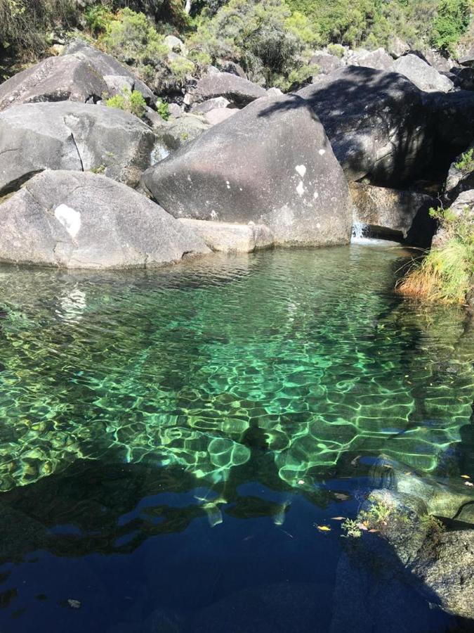 Cabana Do Dinamarques Em Arga De Baixo Eksteriør billede